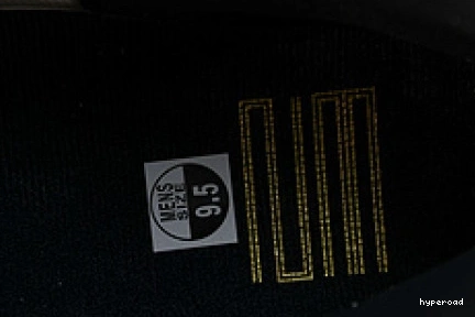 Hyperoad Jordan “DMP” 11 Air 0920